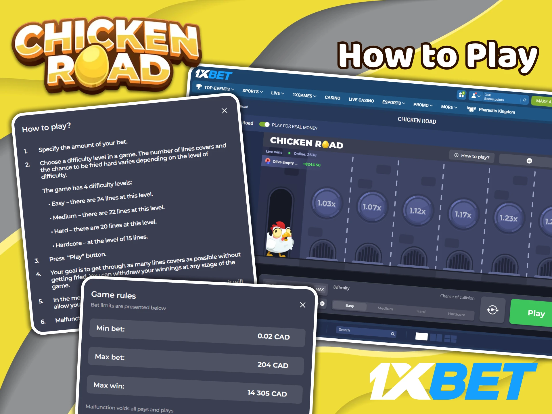Check out the Chicken Road game rules on the 1XBet website.