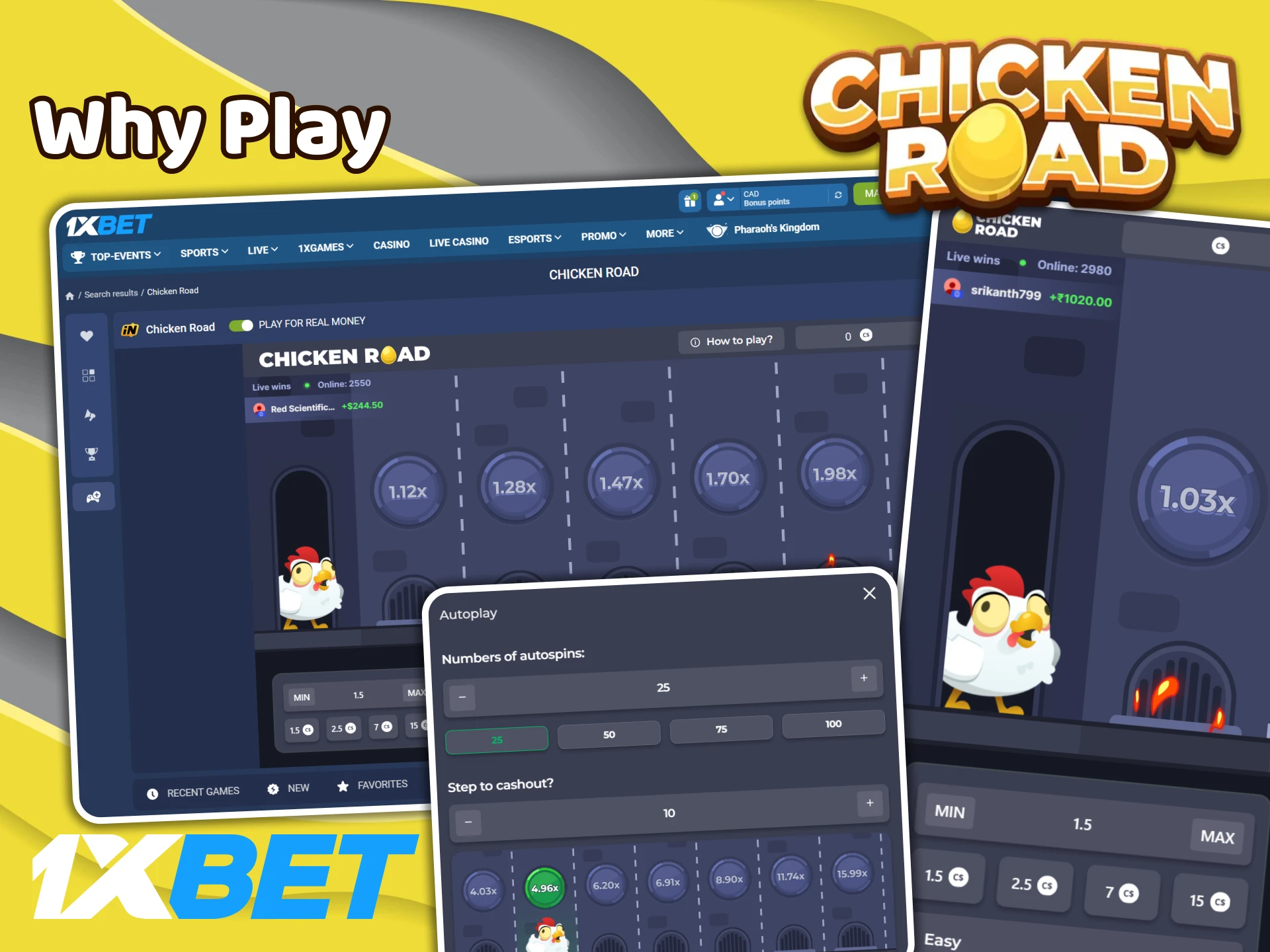 Learn why you should play Chicken Road on the 1XBet website.