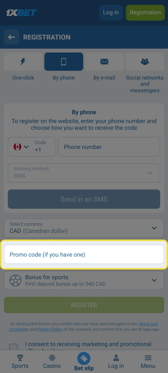 Find the special field for entering the Chicken Road promo code.